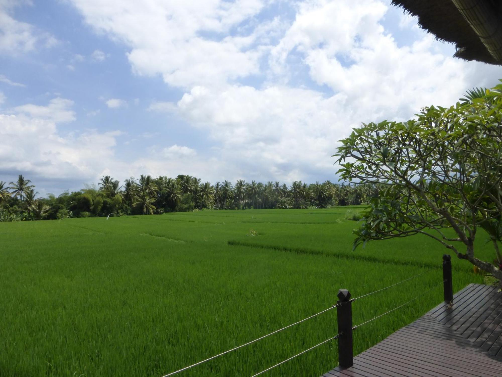 Bali Harmony Villa Ubud Oda fotoğraf