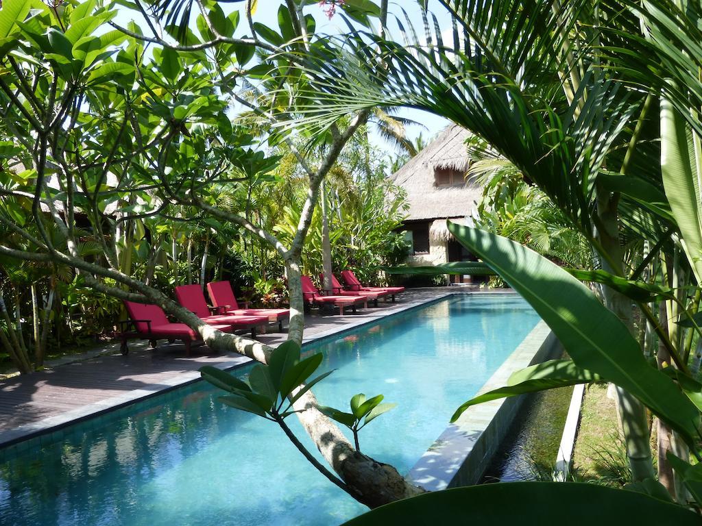 Bali Harmony Villa Ubud Oda fotoğraf