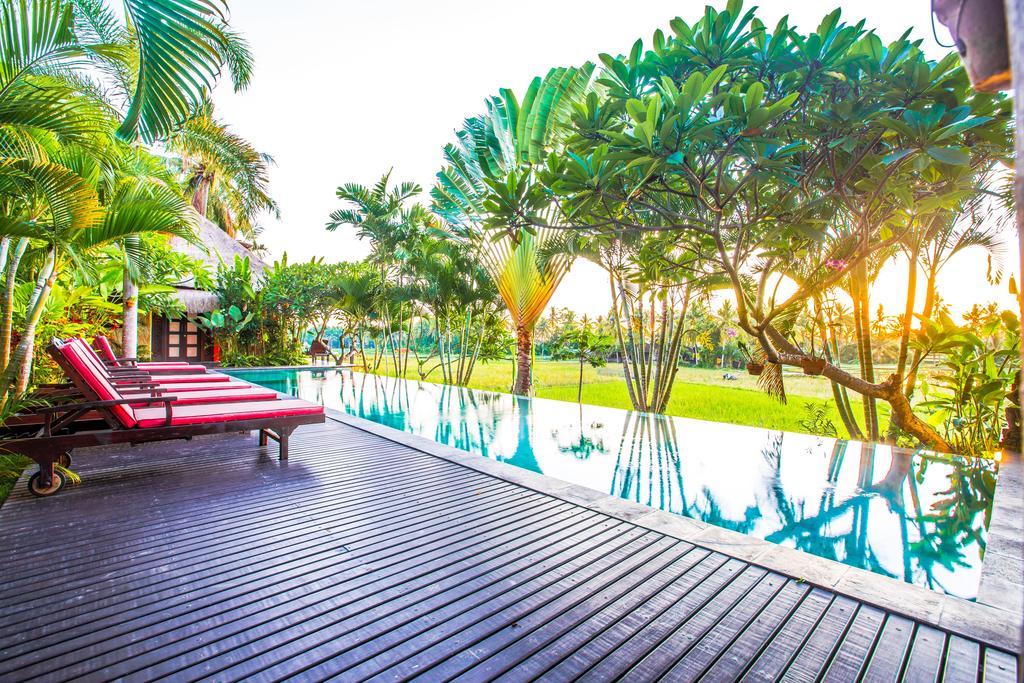 Bali Harmony Villa Ubud Dış mekan fotoğraf