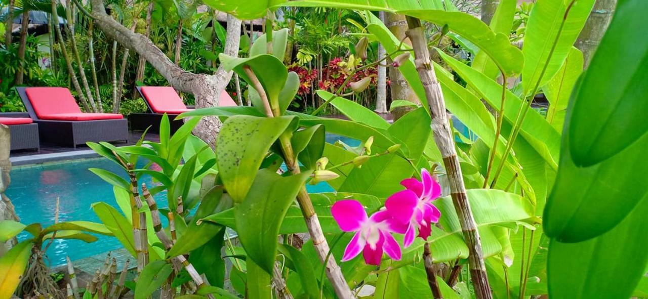 Bali Harmony Villa Ubud Dış mekan fotoğraf