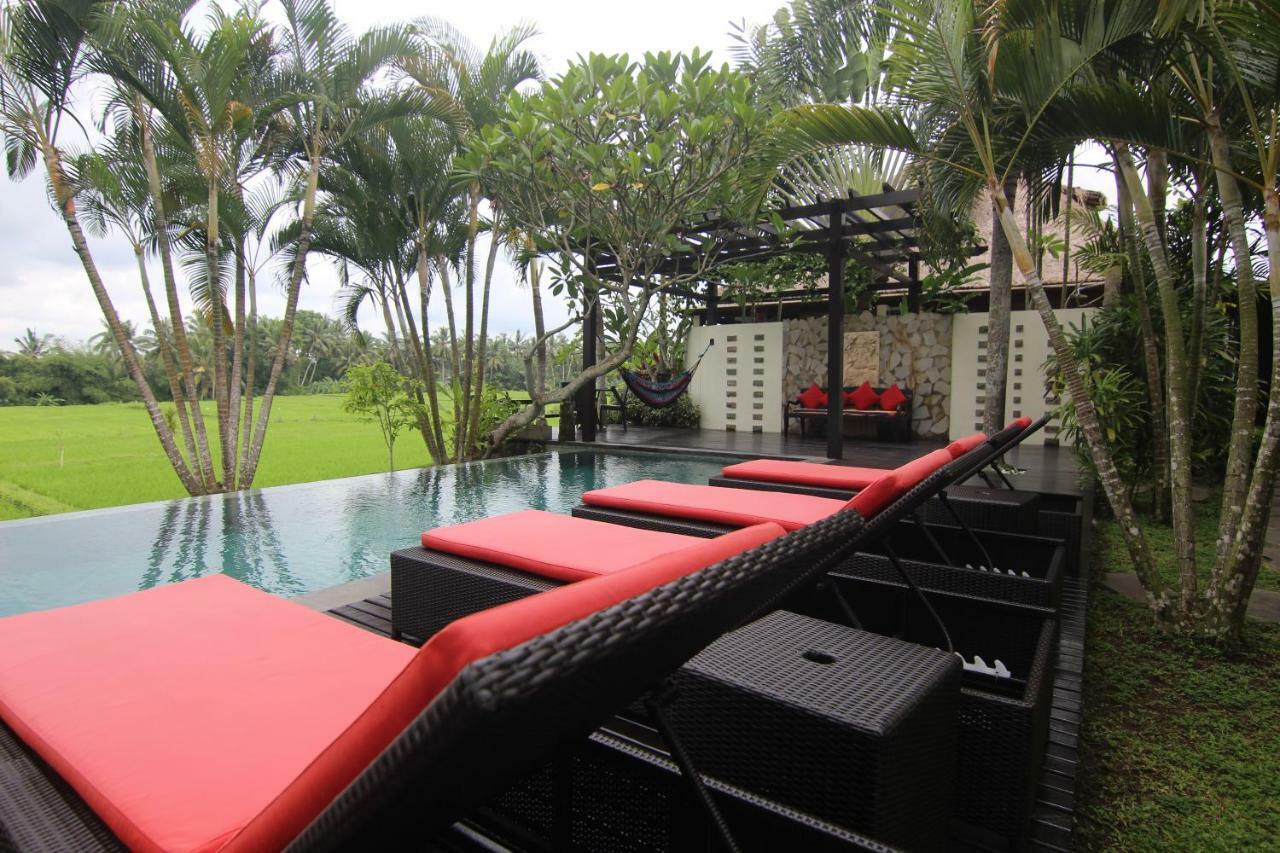 Bali Harmony Villa Ubud Dış mekan fotoğraf