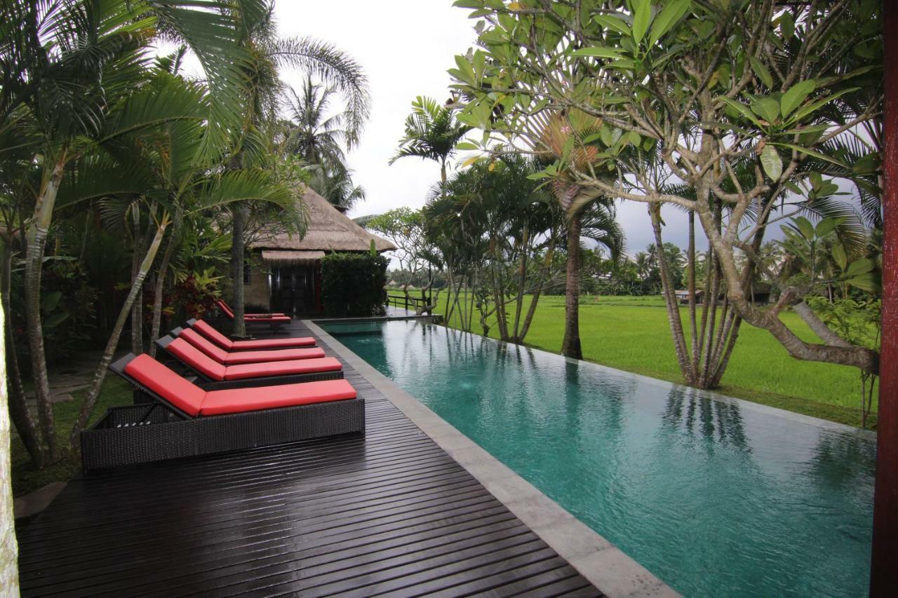 Bali Harmony Villa Ubud Dış mekan fotoğraf
